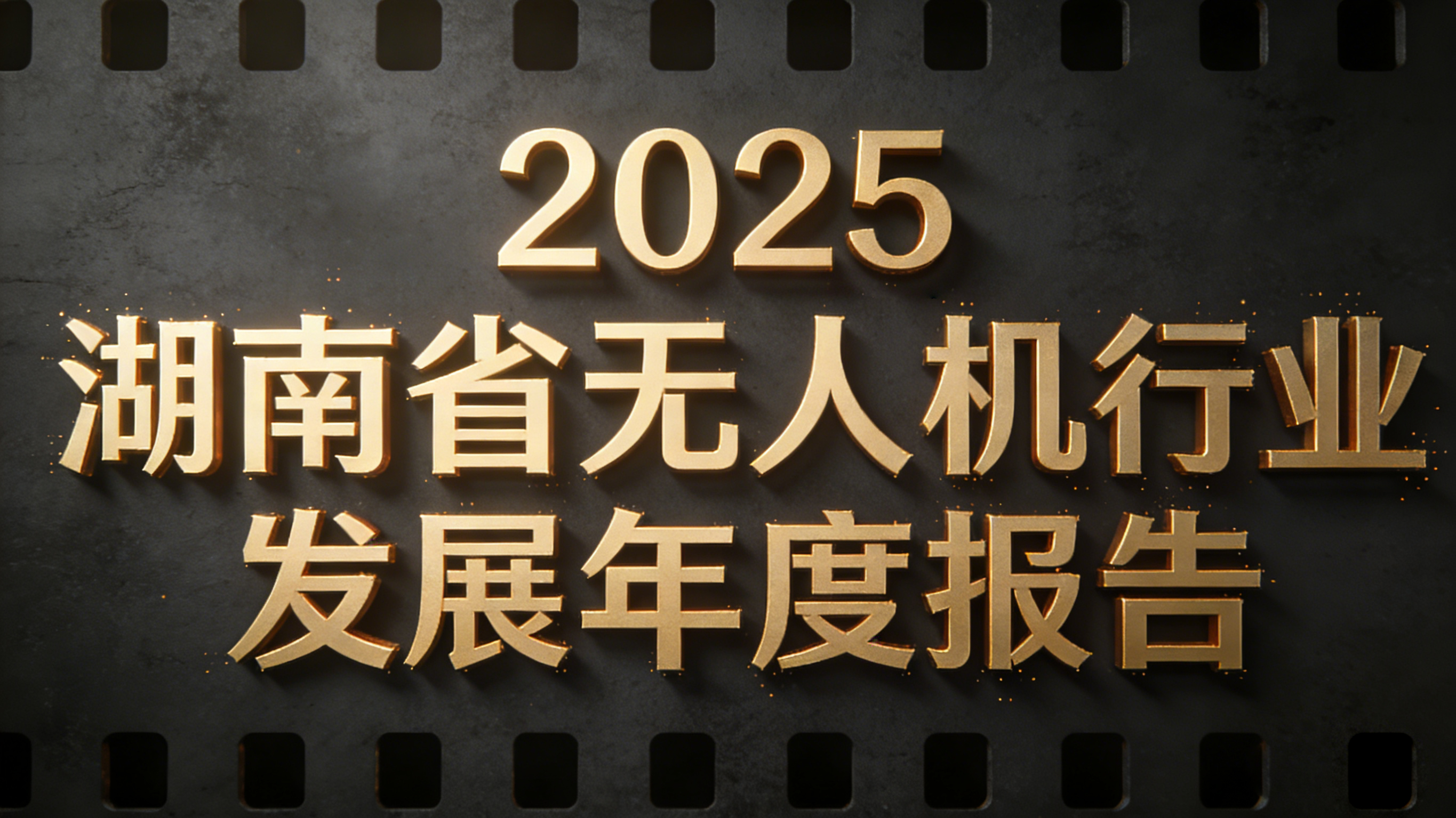2025年度湖南省无人机行业发展报告